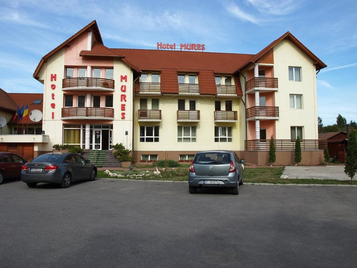 Отель Hotel Mures Топлица-4